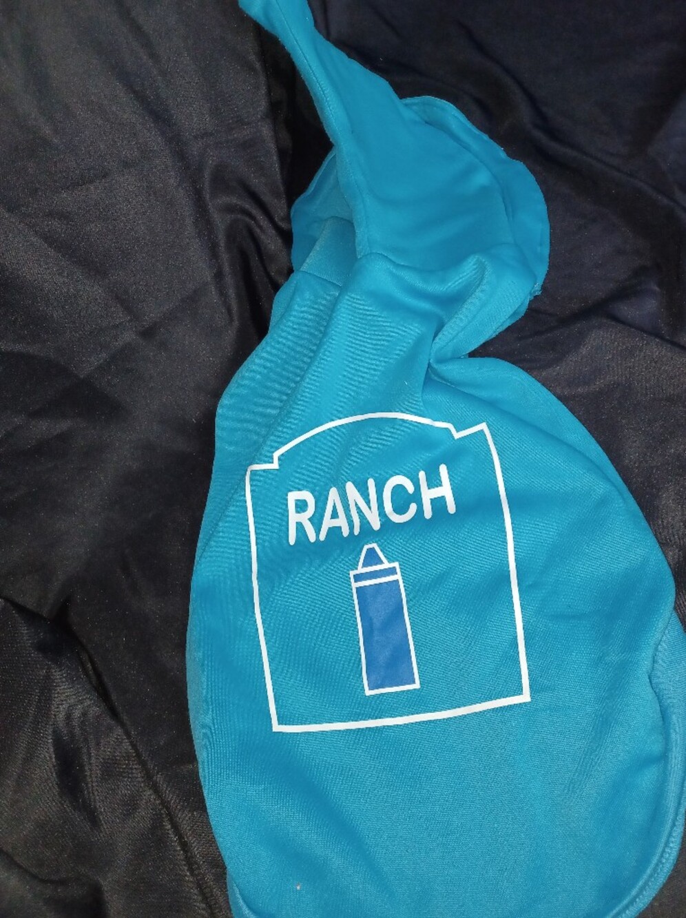 Target Teal 'RANCH' Dog Hoodie with White Print